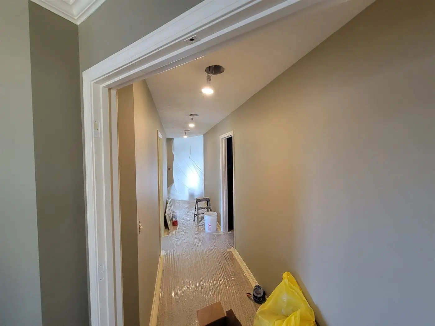 Freshly painted hallway with new wood flooring